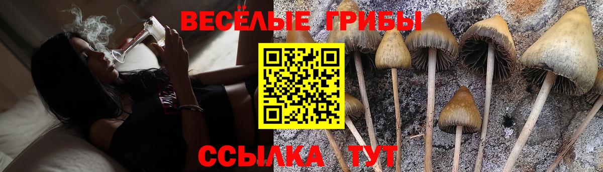 Псилоцибиновые грибы Magic Shrooms Слободской